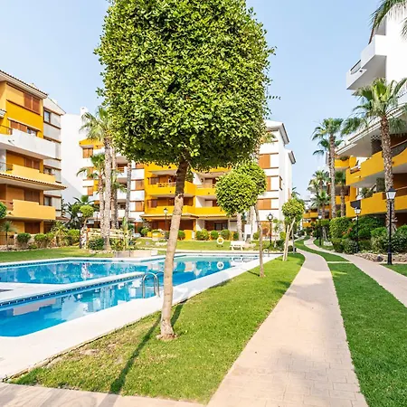 Cc8 Iv By Zanis Lägenhet Torrevieja